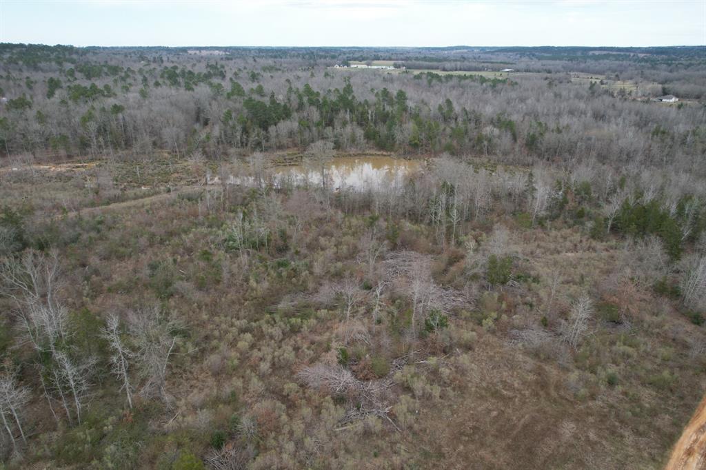 TBD County Road 378, Laneville, Texas image 1