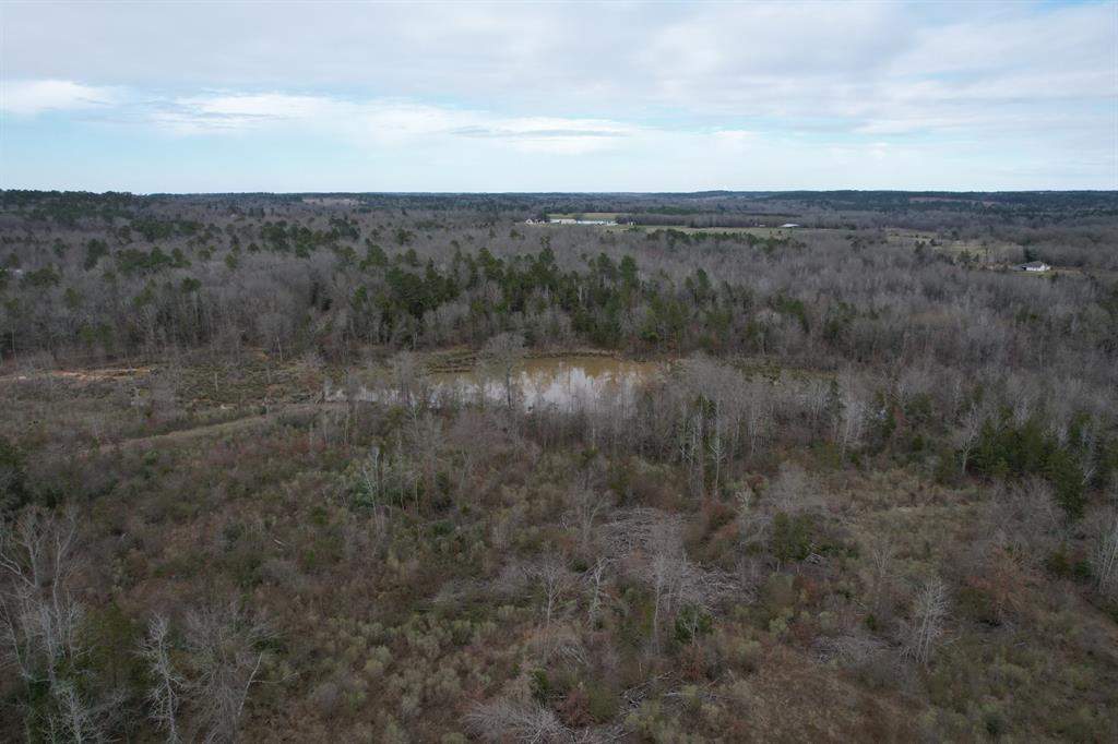 TBD County Road 378, Laneville, Texas image 2