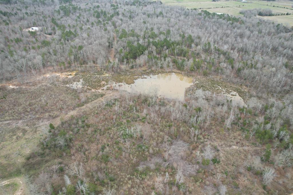 TBD County Road 378, Laneville, Texas image 5