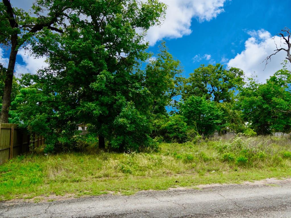Fawn Dr, Hempstead, Texas image 3