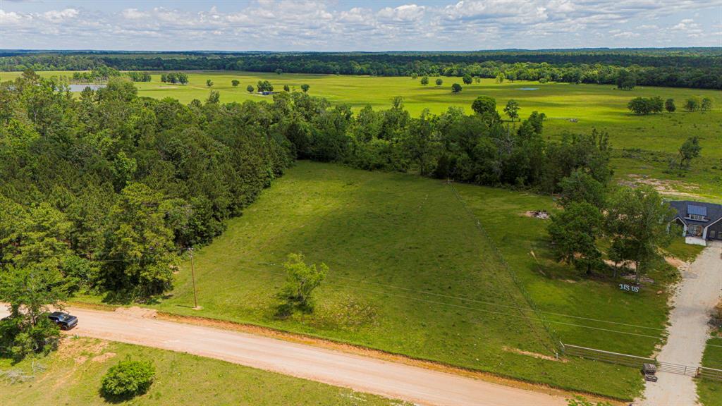 TBD Denson Allen Road, Coldspring, Texas image 3