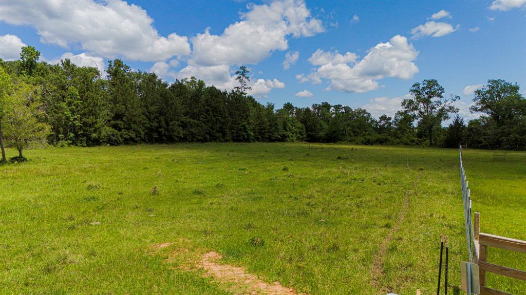 TBD Denson Allen Road, Coldspring, Texas image 7