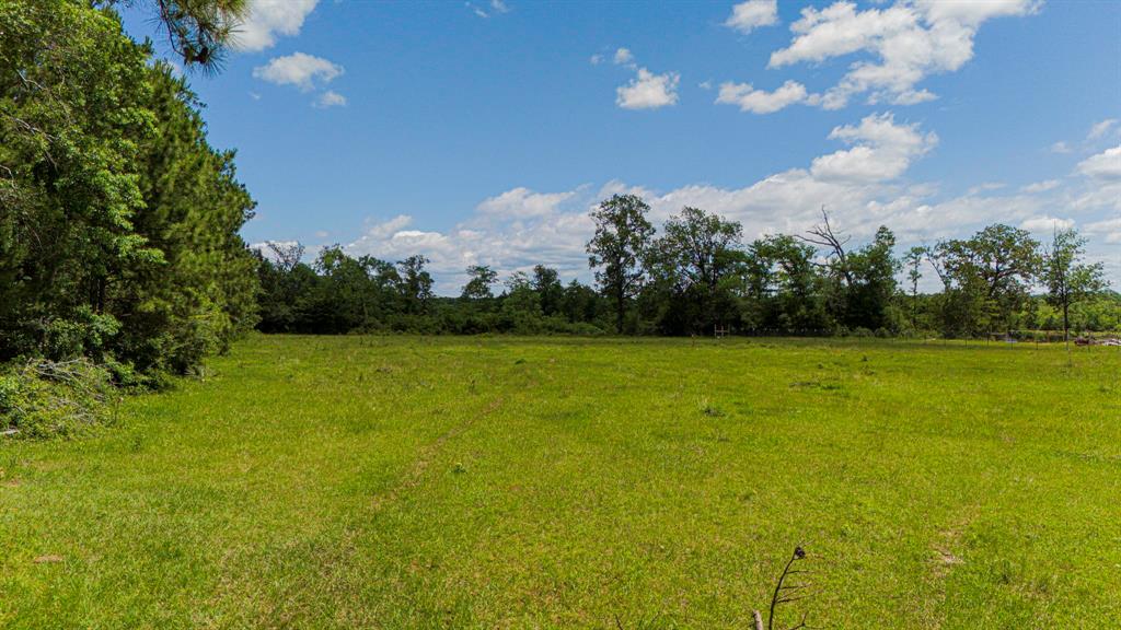 TBD Denson Allen Road, Coldspring, Texas image 6