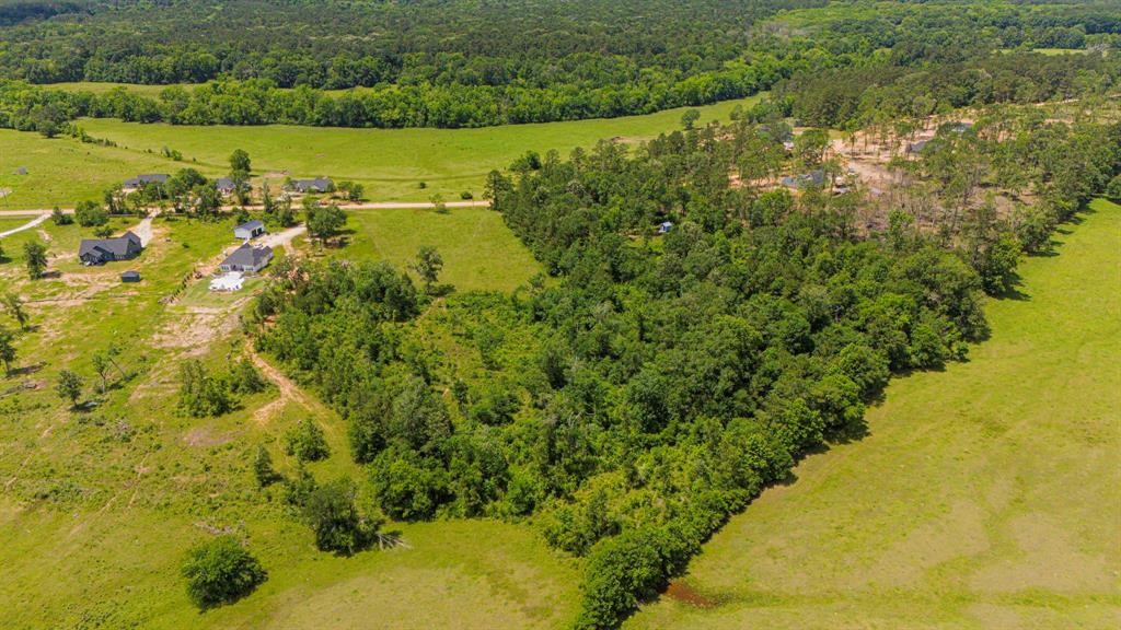 TBD Denson Allen Road, Coldspring, Texas image 10