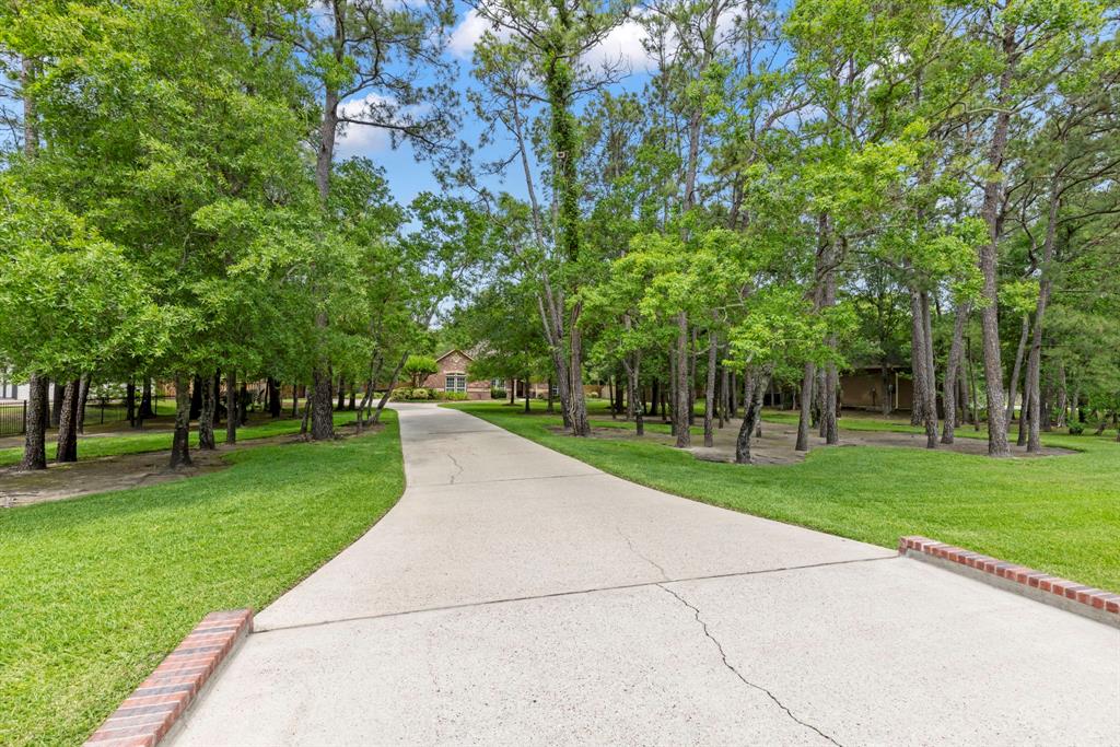 3903 Rayford Road