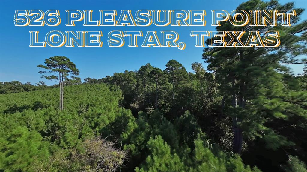 526 Pleasure Point, Lone Star, Texas image 2