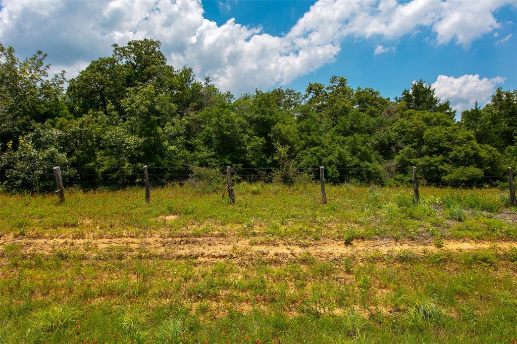 TBD County Road 316, Caldwell, Texas image 5