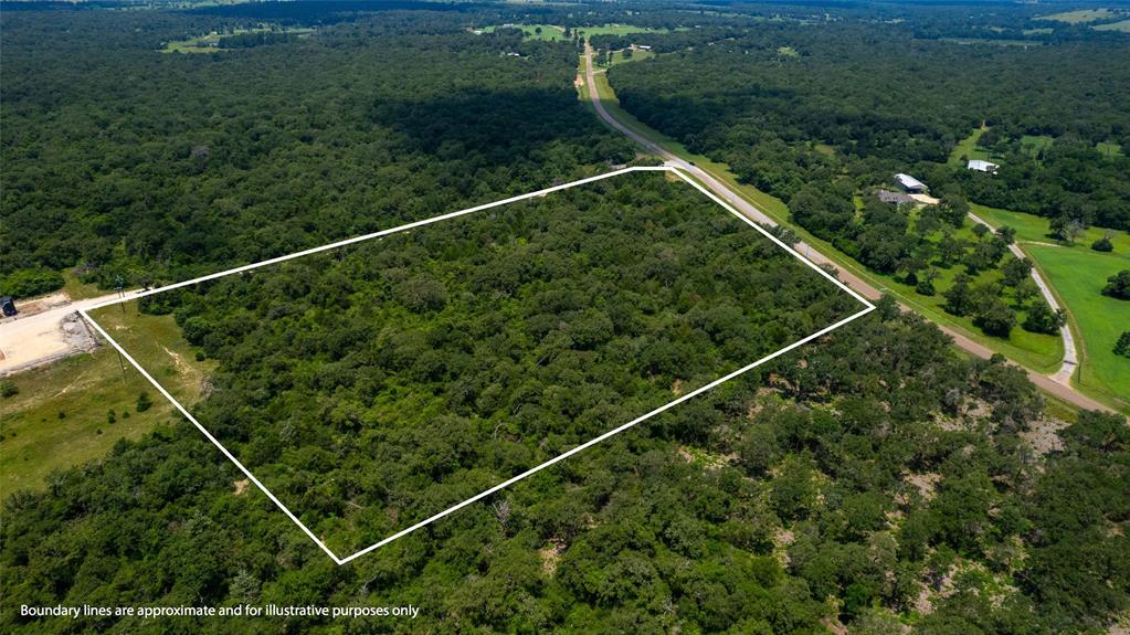 TBD County Road 316, Caldwell, Texas image 13