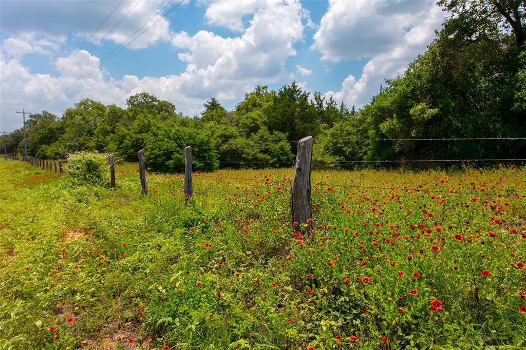 TBD County Road 316, Caldwell, Texas image 16