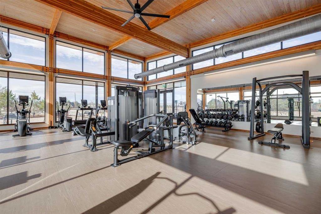 25302 Golden Tallgrass Drive, Katy, Texas image 23
