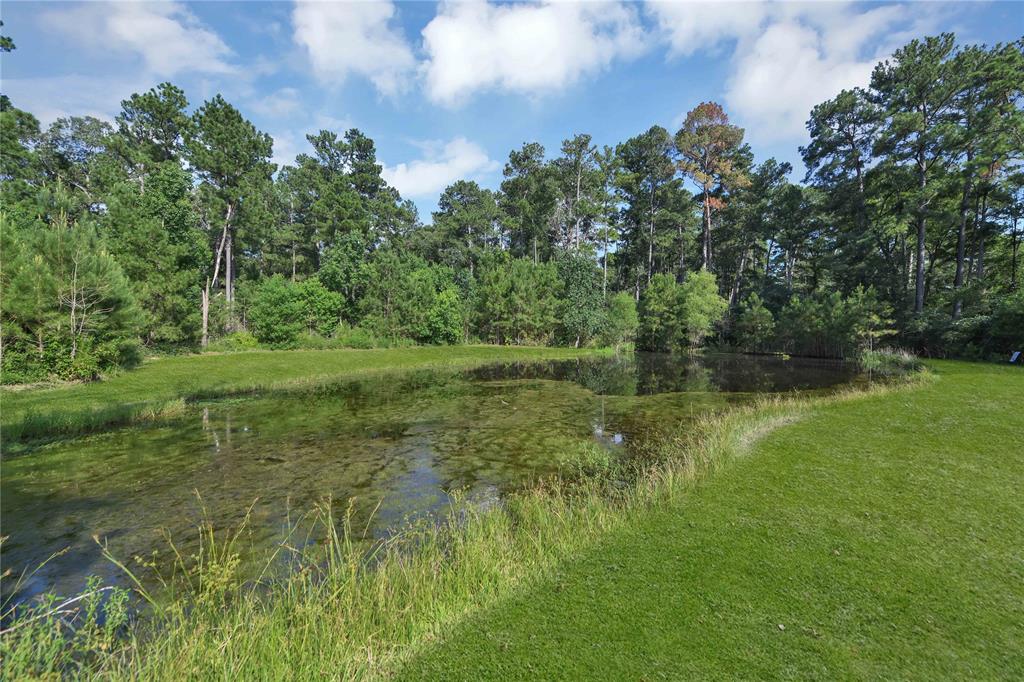 32715 Pine Tree Lane Lane, Waller, Texas image 42