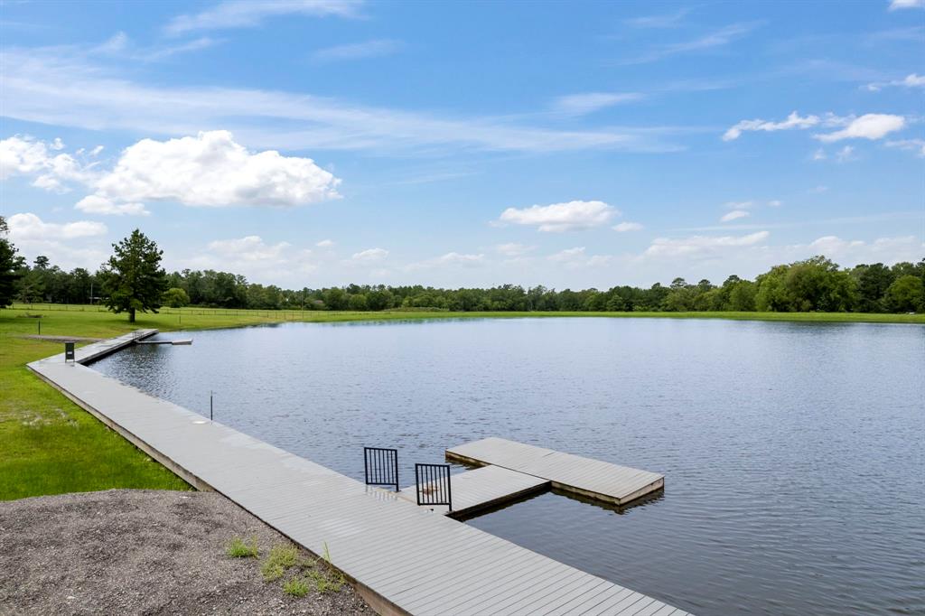 15679 Forest Grove Drive, Willis, Texas image 3