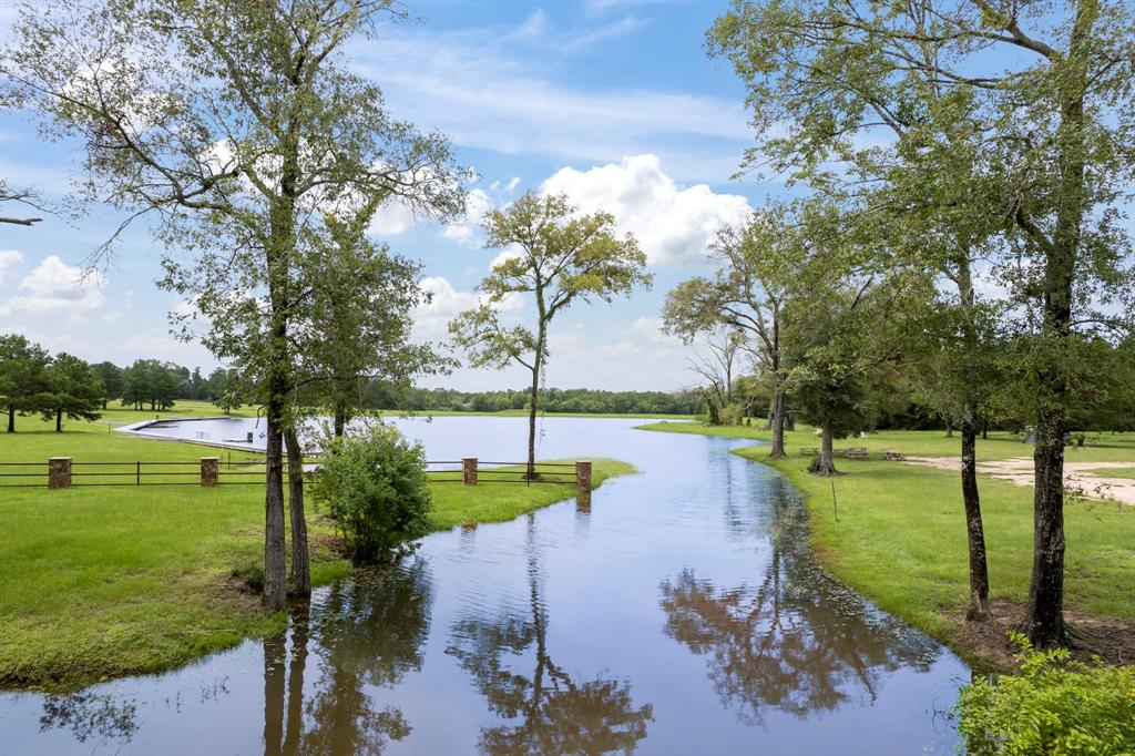 15679 Forest Grove Drive, Willis, Texas image 5