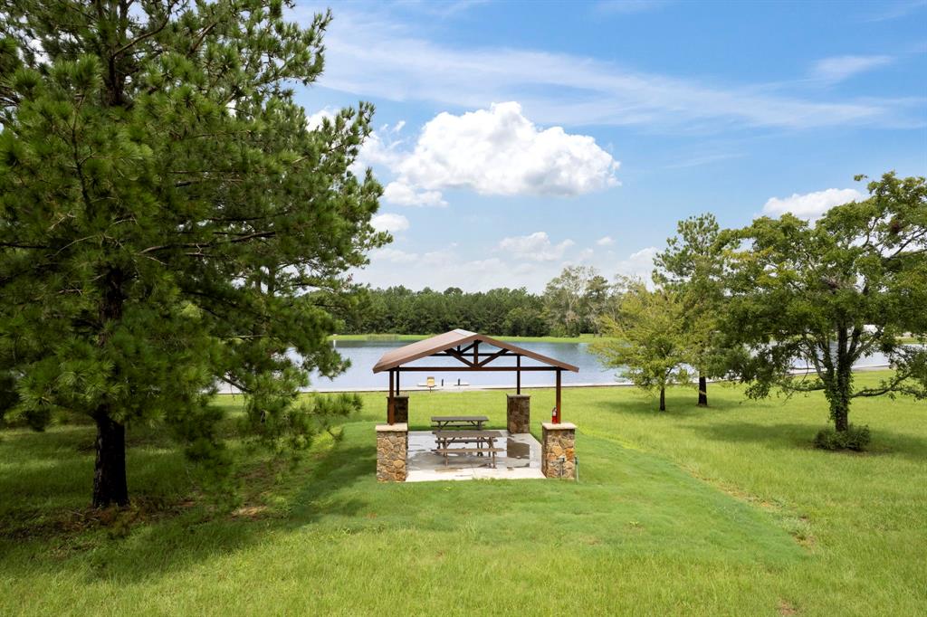 15679 Forest Grove Drive, Willis, Texas image 2
