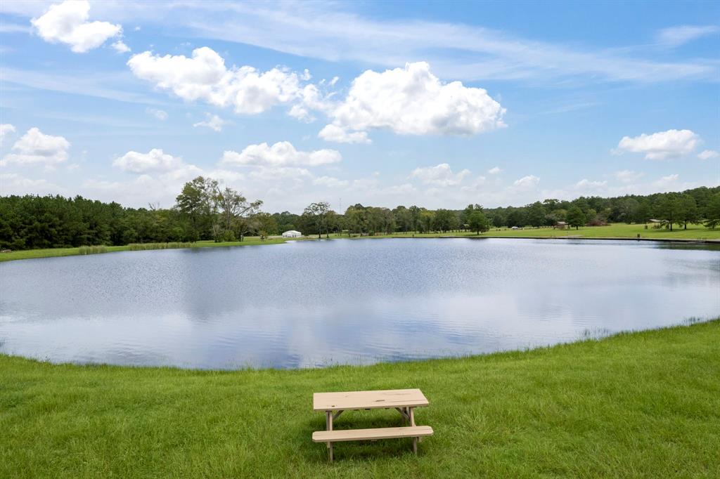 15679 Forest Grove Drive, Willis, Texas image 7