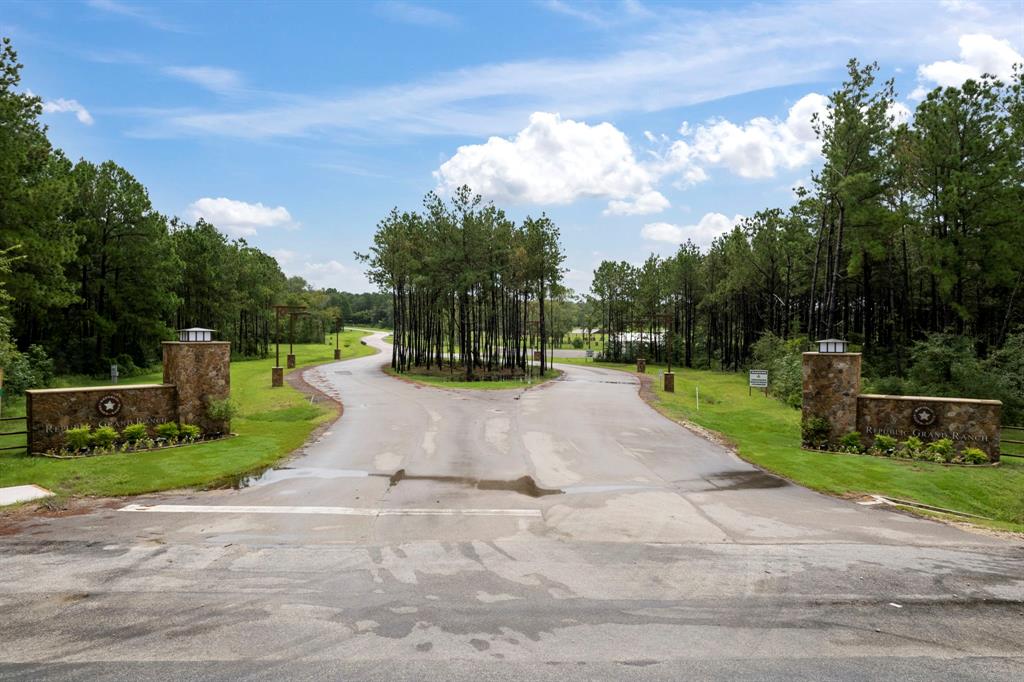 15679 Forest Grove Drive, Willis, Texas image 1