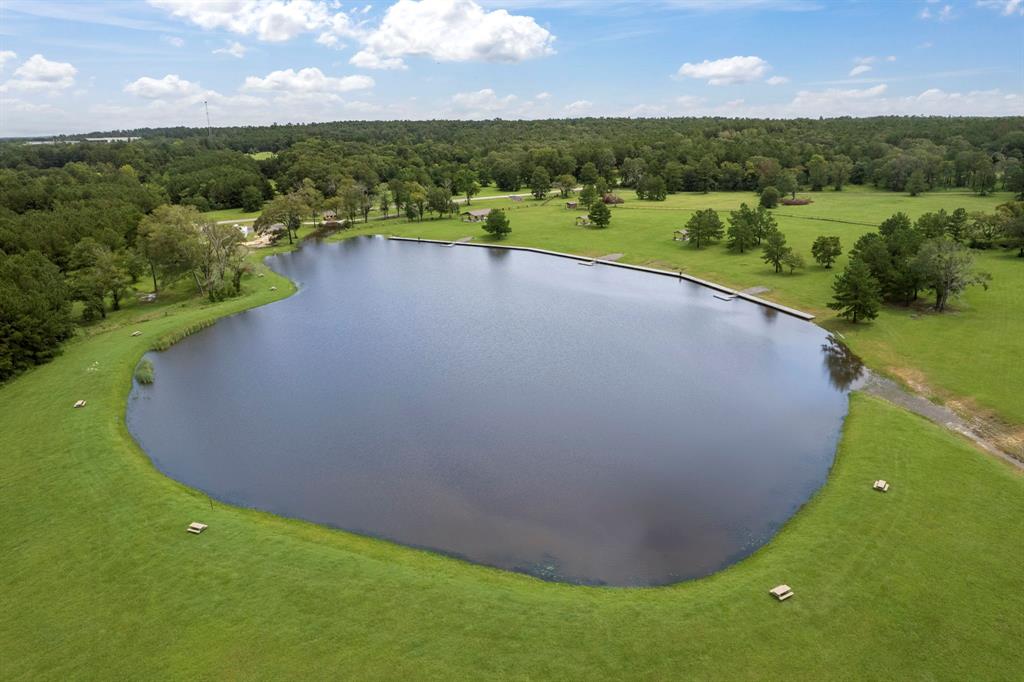 15679 Forest Grove Drive, Willis, Texas image 8