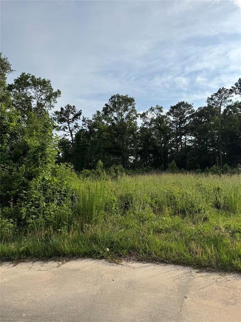 Vacant Land For Sale - TBD Pine Bend<br/> Liberty County, Cleveland, TX 77327