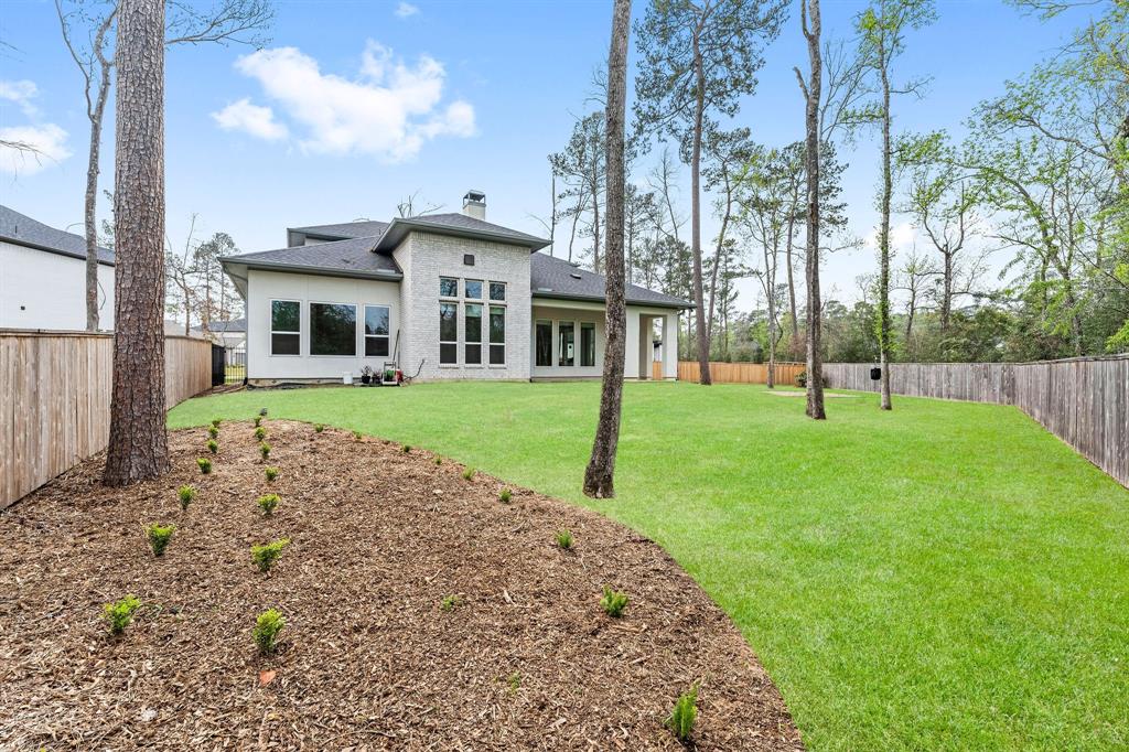 95 Perennial Canyon Drive, The Woodlands, Texas image 45