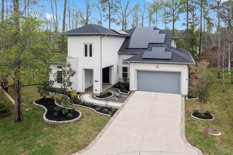 95 Perennial Canyon Drive The Woodlands TX 77375