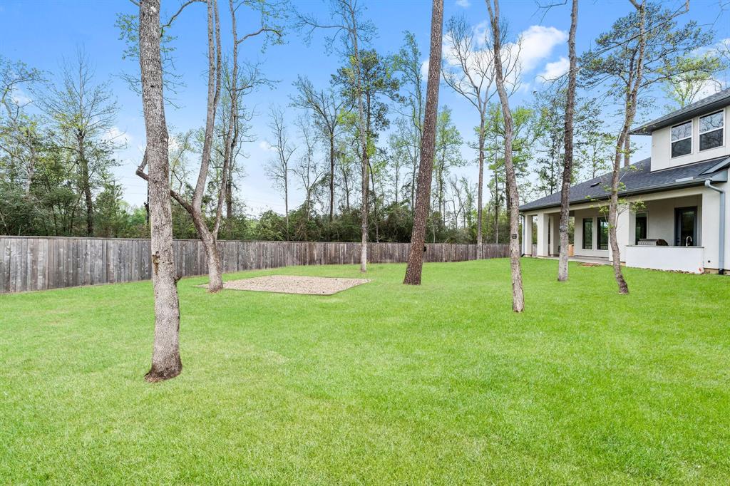 95 Perennial Canyon Drive, The Woodlands, Texas image 47