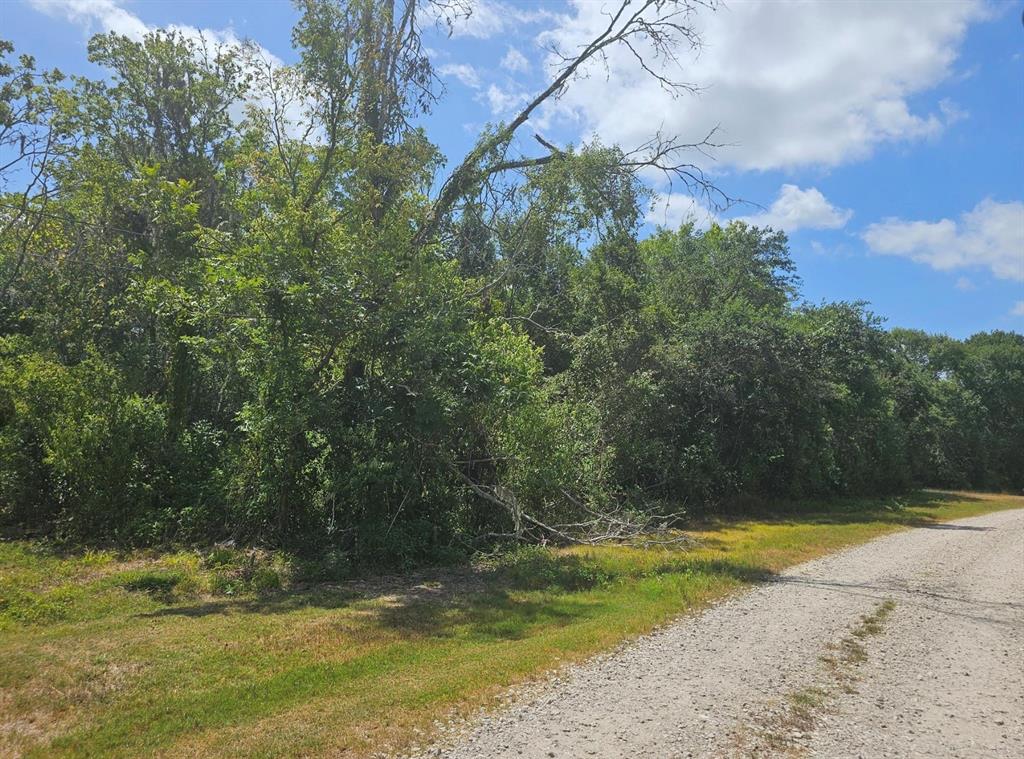TBD 0 Cr-825e, West Columbia, Texas image 3