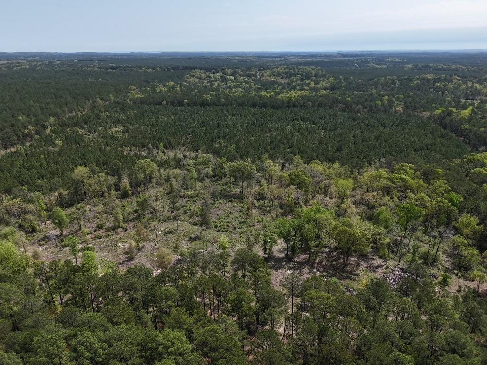 907 Davis Road, Colmesneil, Texas image 48