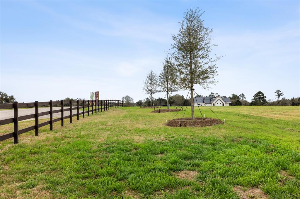 106 Astoria Avenue, Round Top, Texas image 1