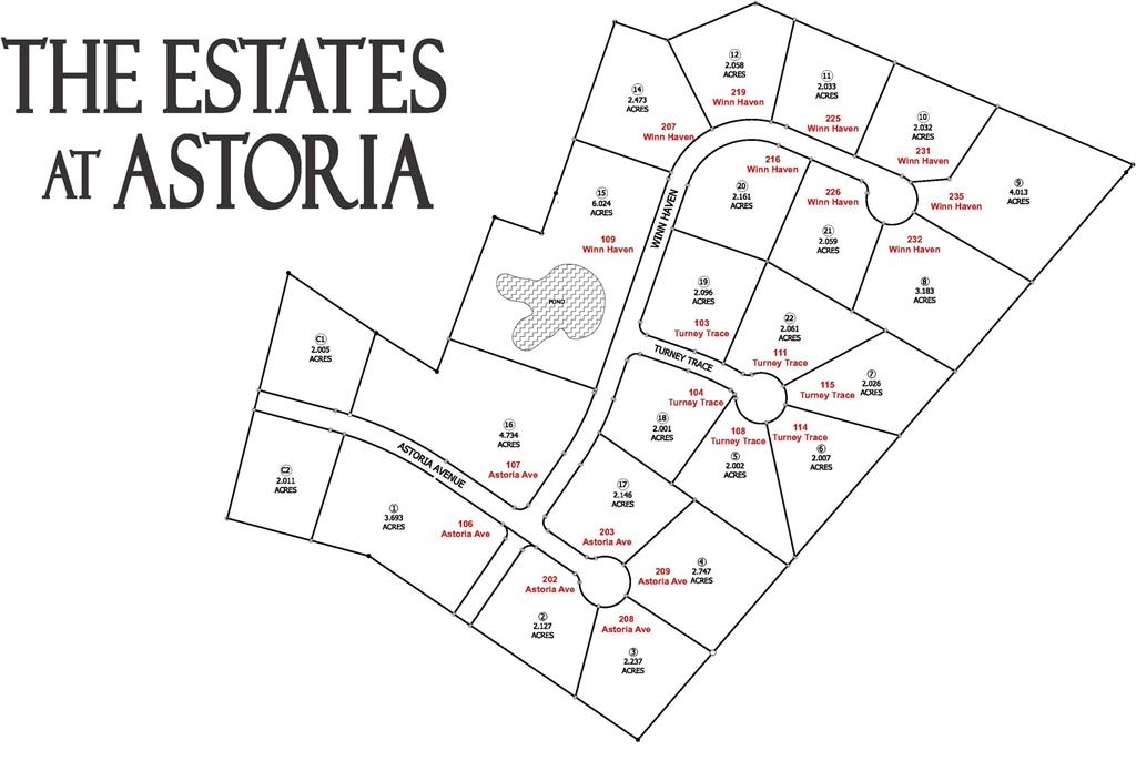 106 Astoria Avenue, Round Top, Texas image 10