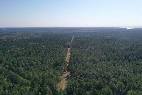 Vacant Land For Sale - TRACT 3 Trinity Lady Park Road<br/> Trinity, TX 75862