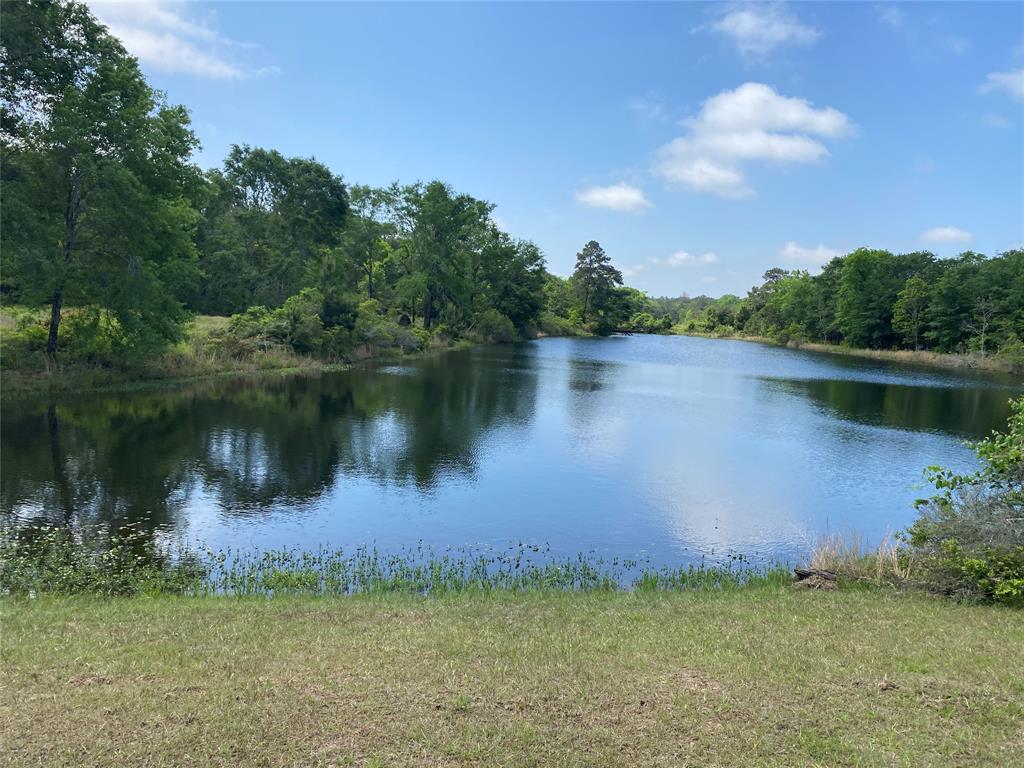 26561 Sycamore Lane, Hempstead, Texas image 5