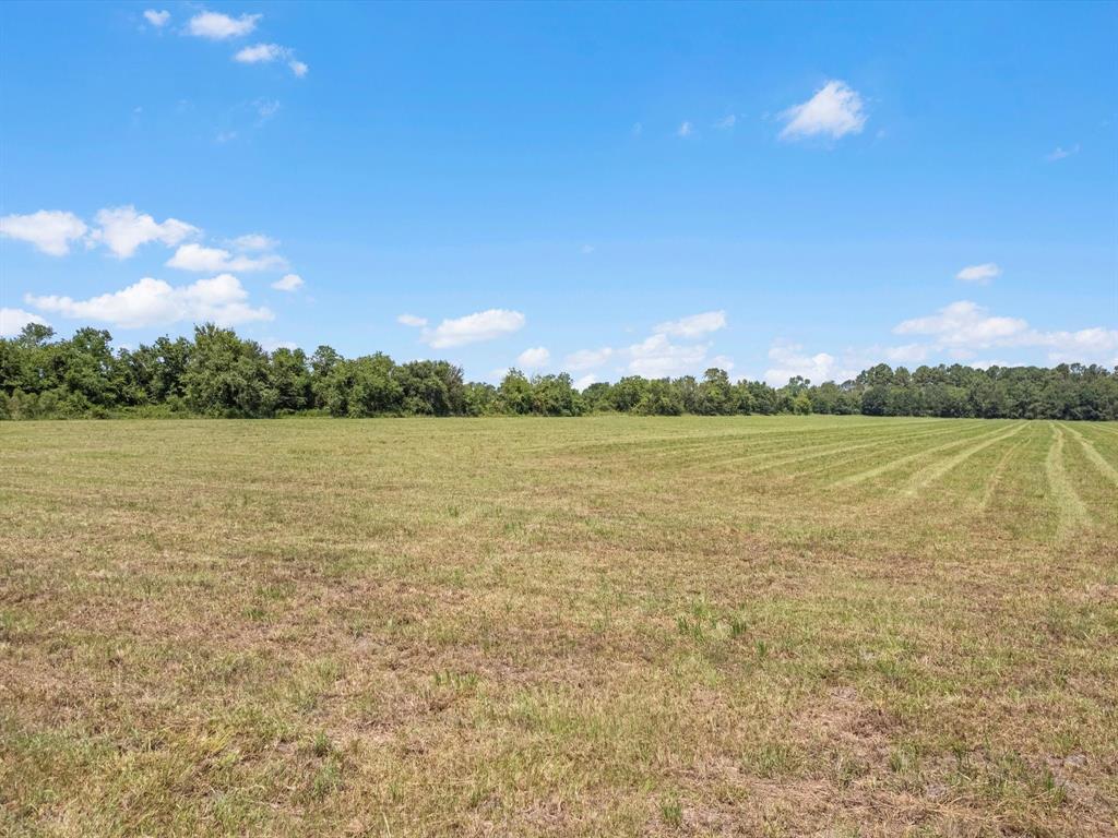 Krenek Road, Crosby, Texas image 16