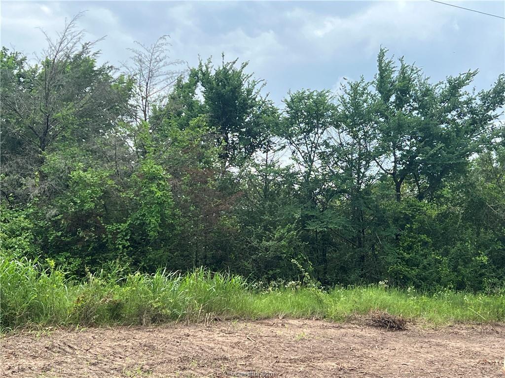 TBD 3.73 AC Fm 39 S, Donie, Texas image 15