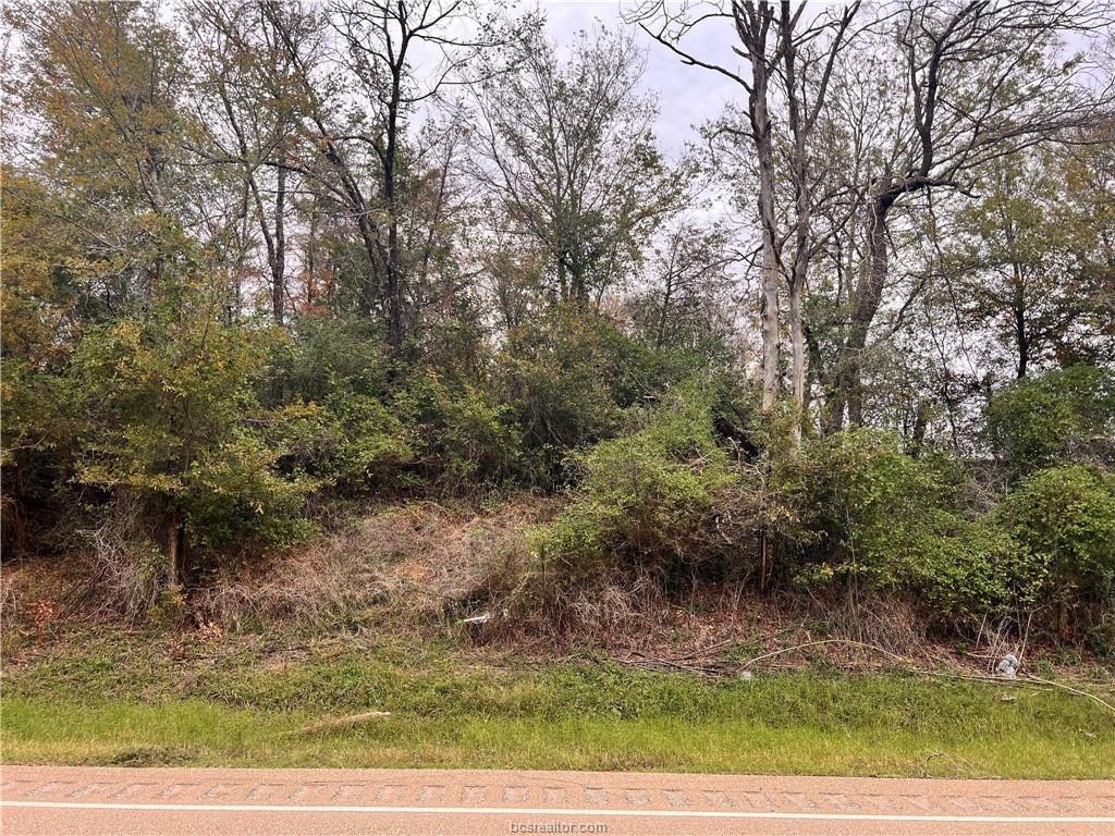 TBD 3.73 AC Fm 39 S, Donie, Texas image 3