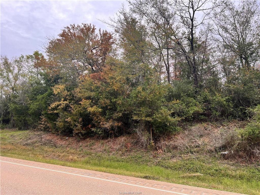 TBD 3.73 AC Fm 39 S, Donie, Texas image 11