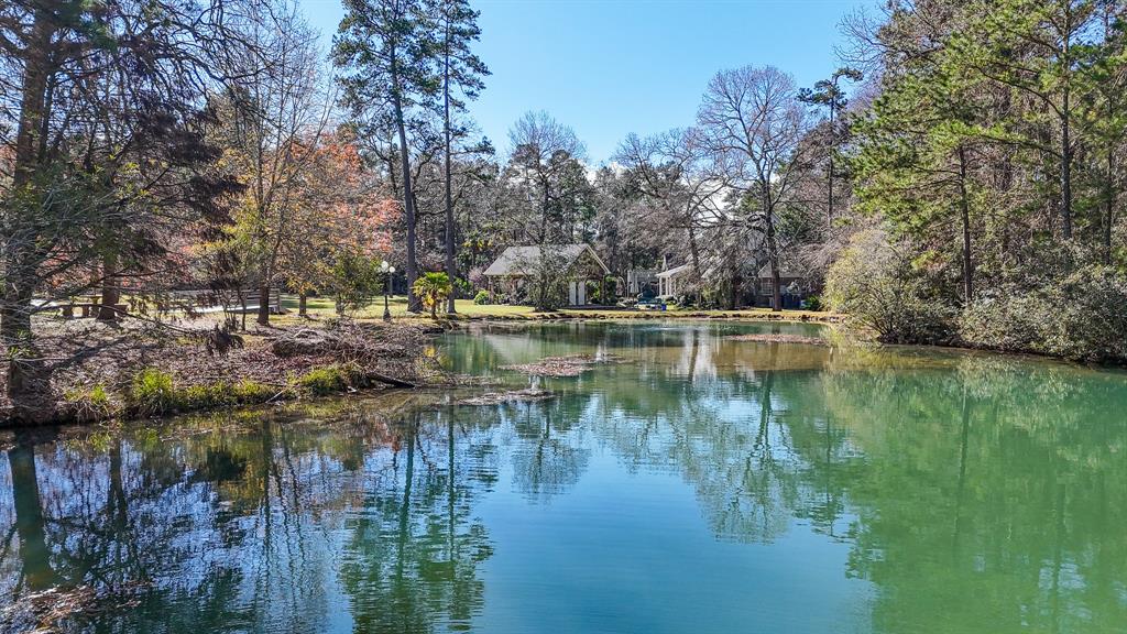 22810 Glenmont Estates Boulevard, Magnolia, Texas image 40