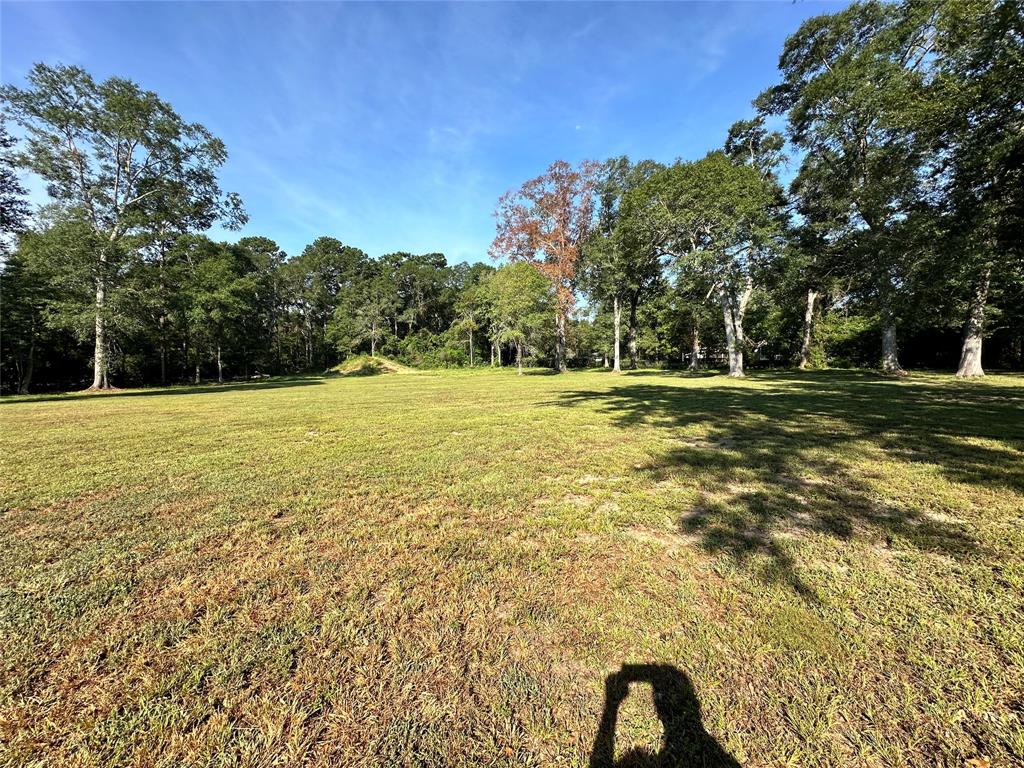 1011 N Nellius Street, Woodville, Texas image 9