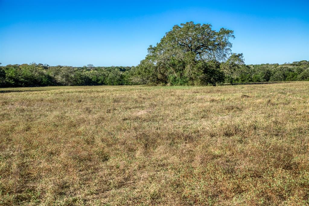 08 Sawmill Road Tract 8, Brenham, Texas image 4