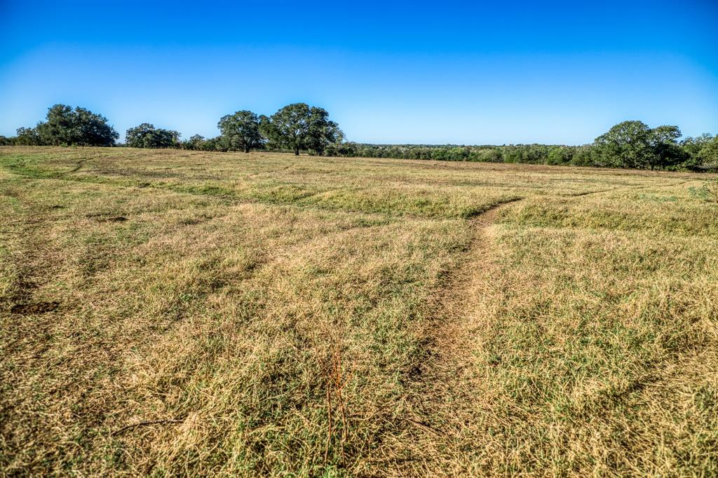 08 Sawmill Road Tract 8, Brenham, Texas image 1