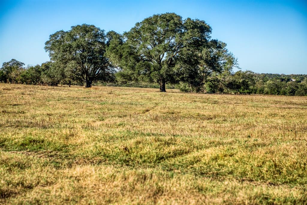 08 Sawmill Road Tract 8, Brenham, Texas image 3