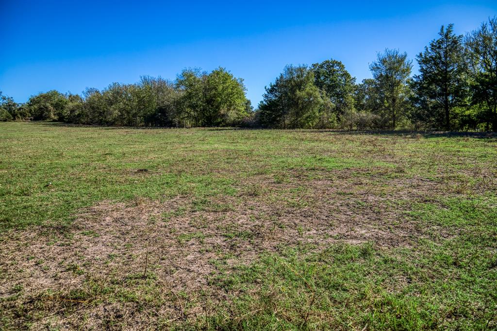 08 Sawmill Road Tract 8, Brenham, Texas image 5