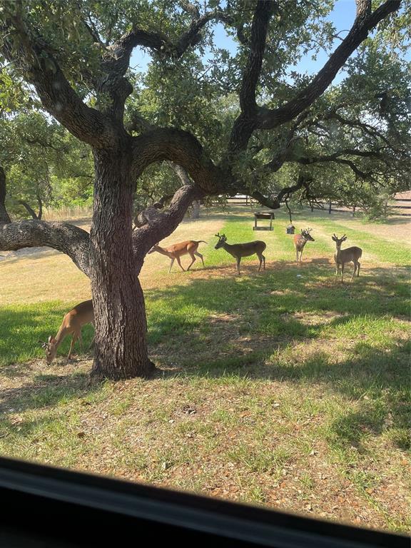 524 Birch Hill Lane Ln, Somerville, Texas image 33