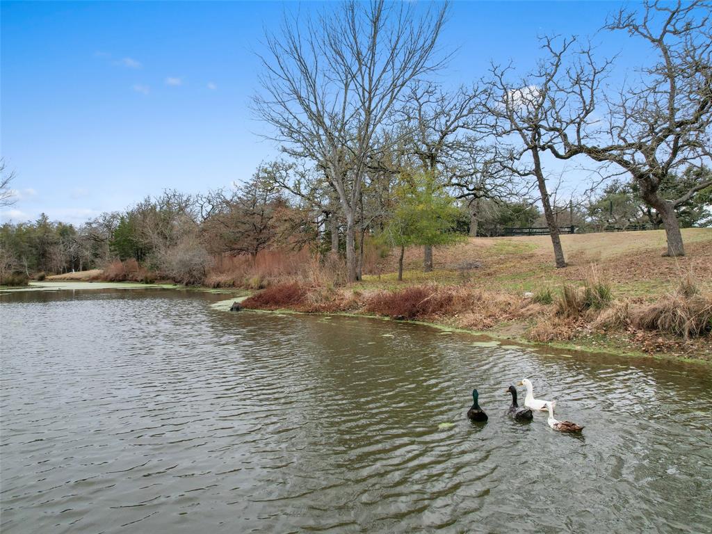 524 Birch Hill Lane Ln, Somerville, Texas image 13