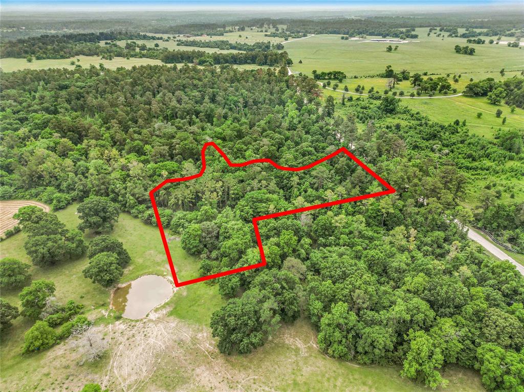 TBD Bowden Road, Huntsville, Texas image 5