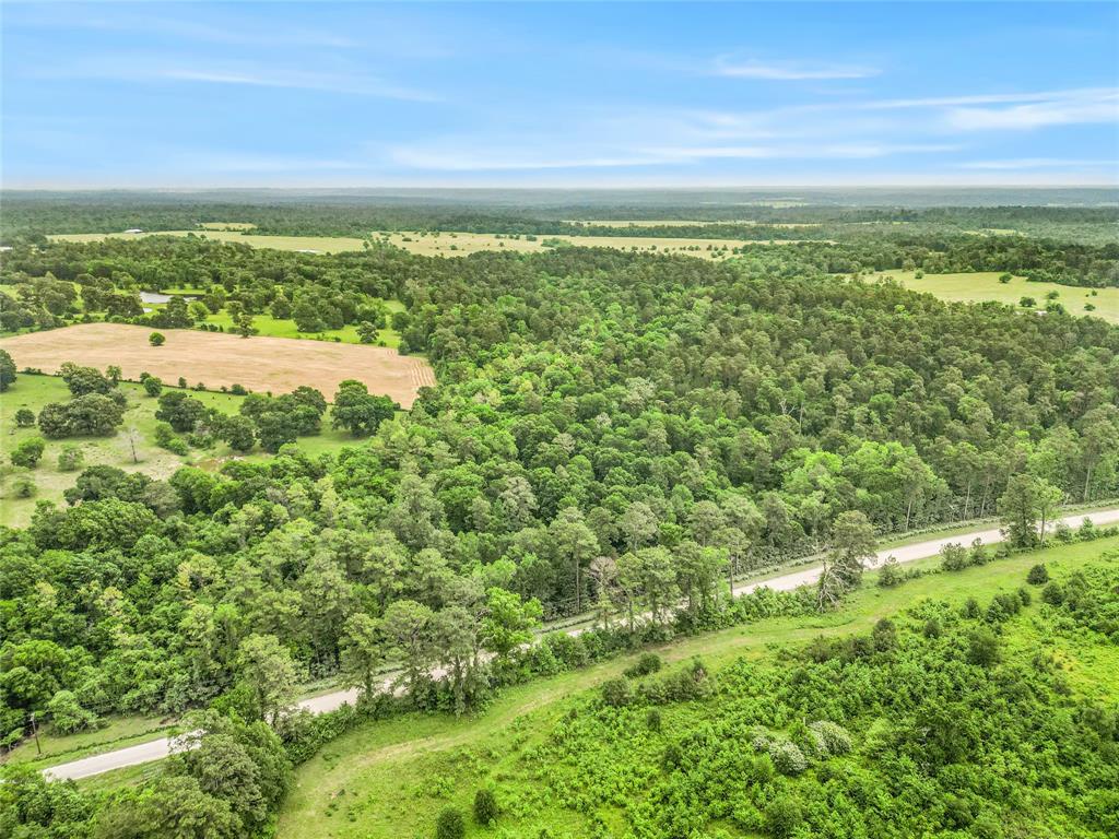 TBD Bowden Road, Huntsville, Texas image 9