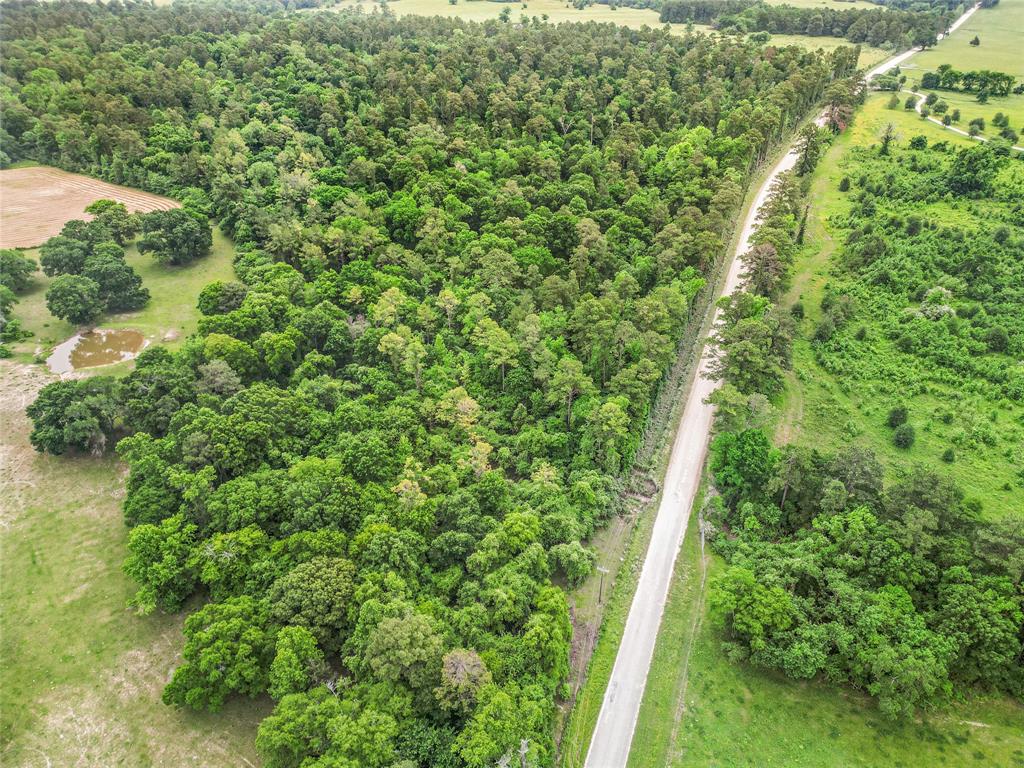 TBD Bowden Road, Huntsville, Texas image 2