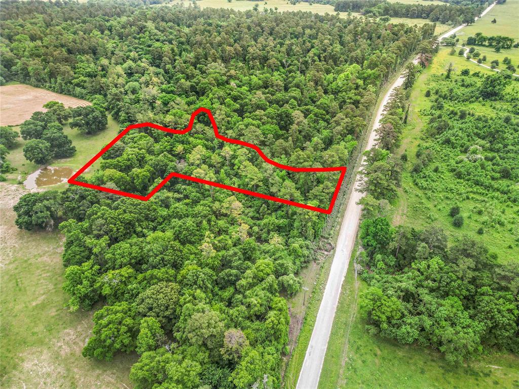 TBD Bowden Road, Huntsville, Texas image 1