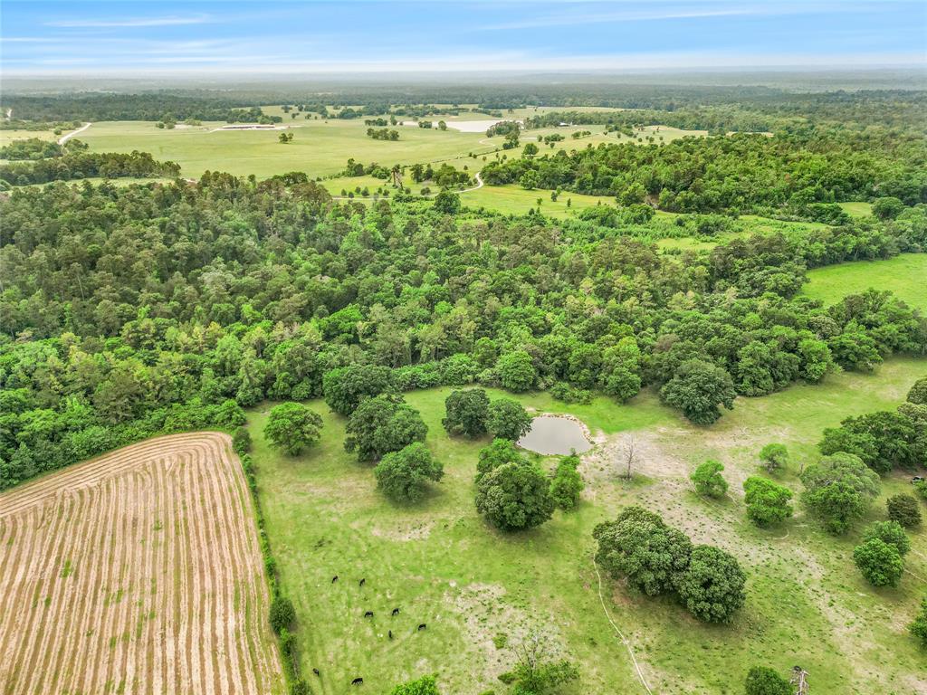 TBD Bowden Road, Huntsville, Texas image 7