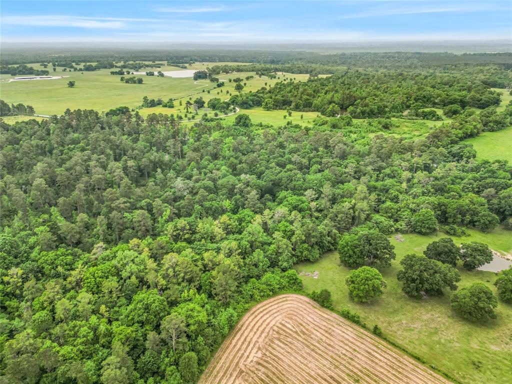 TBD Bowden Road, Huntsville, Texas image 8