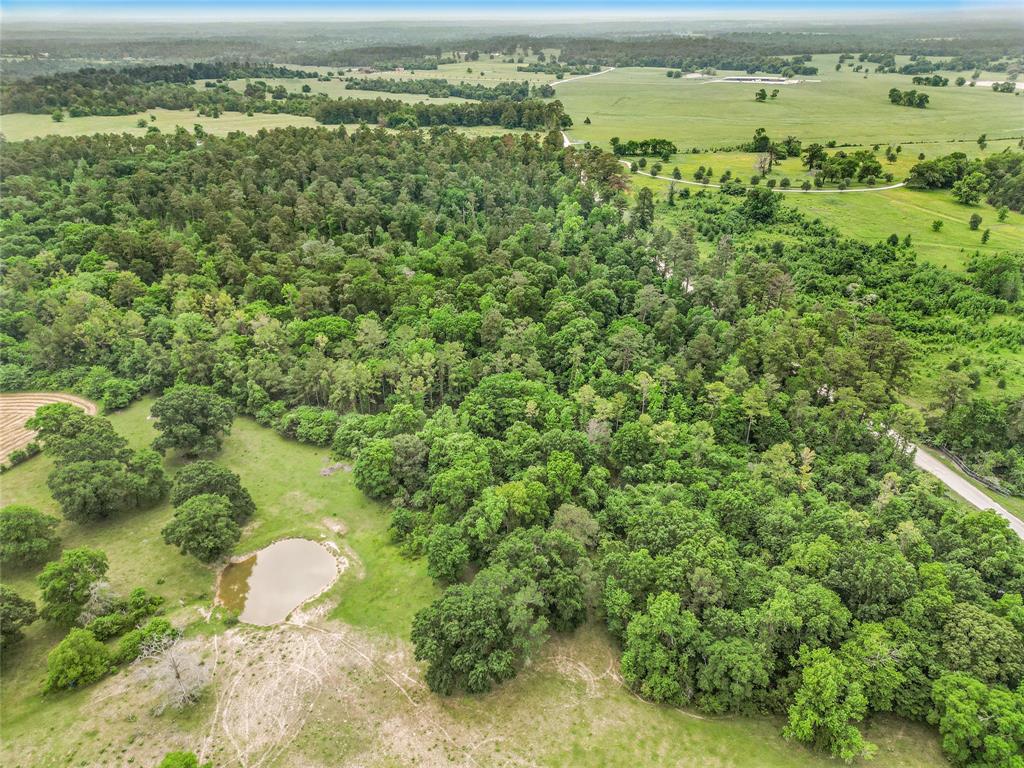 TBD Bowden Road, Huntsville, Texas image 6